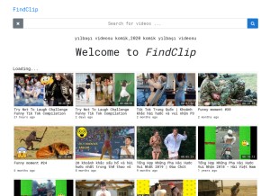 How findclip.net looks like on a tablet such as an iPad.