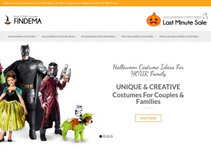 How findema.com looks like on a tablet such as an iPad.