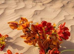 How fineblooms.ae looks like on a tablet such as an iPad.