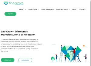 How finegrowndiamonds.com looks like on a tablet such as an iPad.