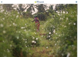 How firmenich.com looks like on a tablet such as an iPad.