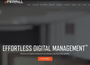 How firstscribe.com looks like on a tablet such as an iPad.