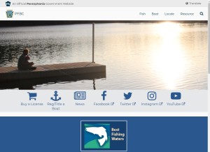 How fishandboat.com looks like on a tablet such as an iPad.