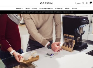 How fit-pay.com looks like on a tablet such as an iPad.