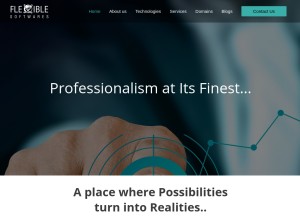 How flexiblesoftwares.com looks like on a tablet such as an iPad.