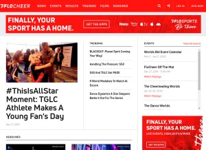 How flocheer.com looks like on a tablet such as an iPad.