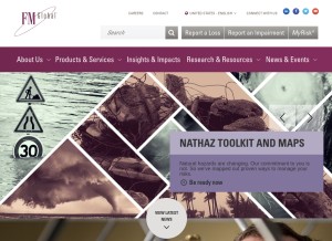 How fmglobal.com looks like on a tablet such as an iPad.