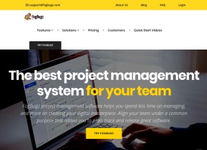 How fogbugz.com looks like on a tablet such as an iPad.