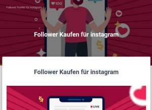 How followerkaufeninstagram.de looks like on a tablet such as an iPad.