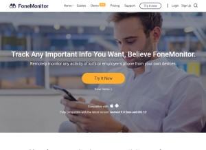 How fonemonitor.com looks like on a tablet such as an iPad.