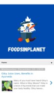 How foodsinplanet.com looks like on a mobile device such as an iPhone.