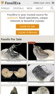 How fossilera.com looks like on a mobile device such as an iPhone.