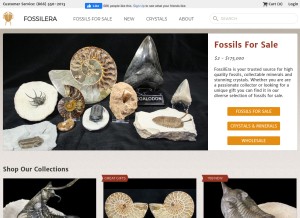 How fossilera.com looks like on a tablet such as an iPad.
