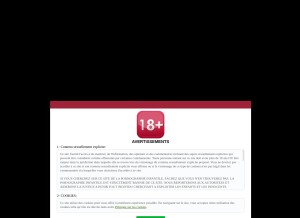 How fr.freeadultcamsonline.com looks like on a tablet such as an iPad.