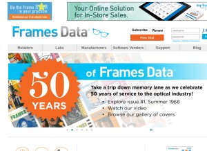 How framesdata.com looks like on a tablet such as an iPad.
