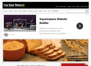 How freestockphotos.biz looks like on a tablet such as an iPad.