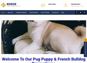 How frenchiespugpuppy.com looks like on a tablet such as an iPad.