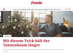 How freundin.de looks like on a tablet such as an iPad.
