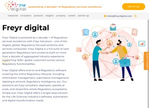 How freyrdigital.com looks like on a tablet such as an iPad.