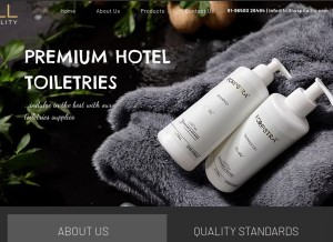 How frillhospitality.com looks like on a tablet such as an iPad.