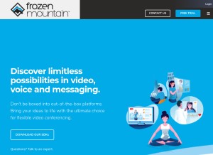 How frozenmountain.com looks like on a tablet such as an iPad.