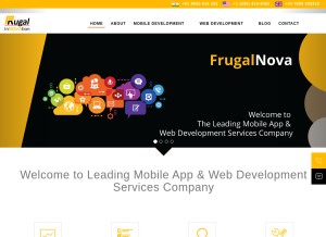 How frugalnova.com looks like on a tablet such as an iPad.