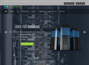 How fsit.com looks like on a tablet such as an iPad.