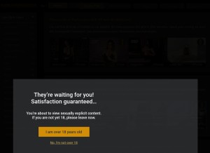 How fucktheprincess.com looks like on a tablet such as an iPad.