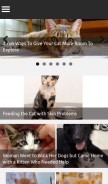 How funcats.info looks like on a mobile device such as an iPhone.