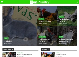 How funpoultry.com looks like on a tablet such as an iPad.