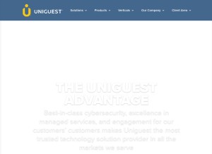 How gbcblue.com looks like on a tablet such as an iPad.