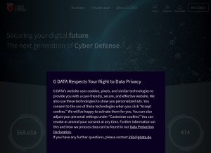How gdatasoftware.com looks like on a tablet such as an iPad.