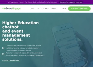 How geckoform.com looks like on a tablet such as an iPad.