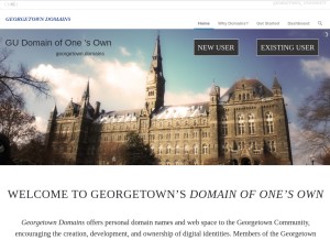 How georgetown.domains looks like on a tablet such as an iPad.