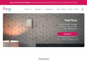 How getmysa.com looks like on a tablet such as an iPad.
