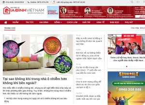 How giadinhvietnam.com looks like on a tablet such as an iPad.