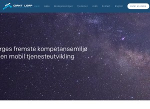 How giantleap.no looks like on a tablet such as an iPad.