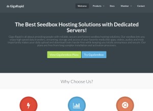 How giga-rapid.com looks like on a tablet such as an iPad.