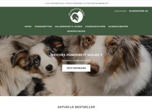 How gladiatorzoo.com looks like on a tablet such as an iPad.