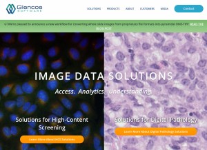 How glencoesoftware.com looks like on a tablet such as an iPad.
