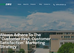 How globalbsb.cn looks like on a tablet such as an iPad.