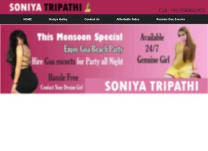How goa.soniyatripathi.com looks like on a tablet such as an iPad.