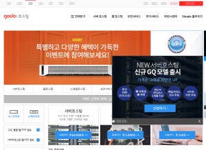 How godohosting.com looks like on a tablet such as an iPad.