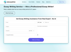 How goessaywriter.com looks like on a tablet such as an iPad.