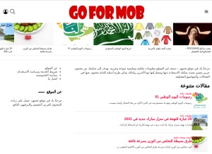 How goformob.com looks like on a tablet such as an iPad.