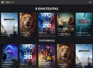 How goinform.org looks like on a tablet such as an iPad.