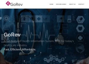 How gorev.com looks like on a tablet such as an iPad.
