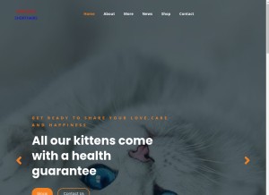 How gorgeousshorthairkittens.com looks like on a tablet such as an iPad.