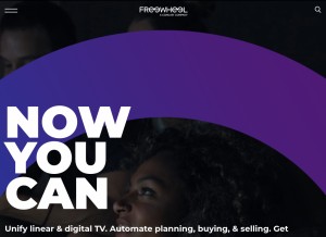 How gotostrata.com looks like on a tablet such as an iPad.