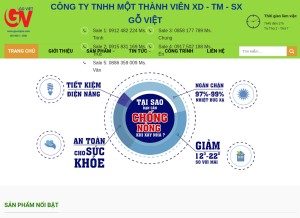 How govietpro.com looks like on a tablet such as an iPad.